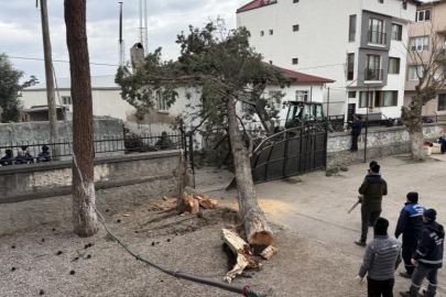 İznik'te okulların tatil olması faciayı önledi