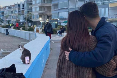 Bursa'da tripod yerine kedi kullandılar