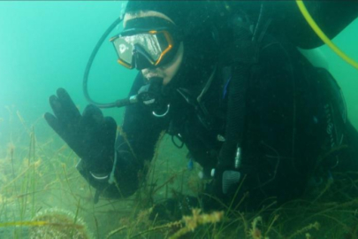 Marmara Denizi'ne kıyı kentlerin Belediye Başkanlarına dalış çağrısı