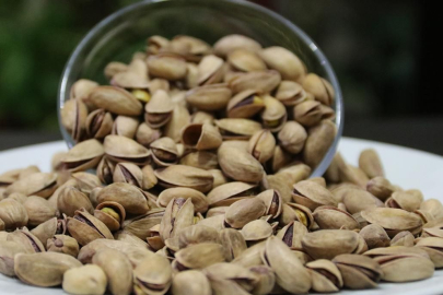 "Fıstıkta ithalat kapısı kapatılsın" talebi