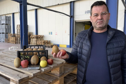 Türkiye'nin tarımda yeni gururu İznik'te yetişti