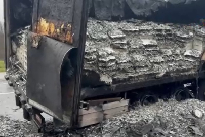 Hamsi yüklü TIR alevlere teslim oldu