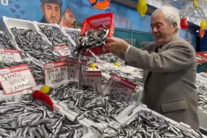 Deniz bereketi tezgahlara yansıdı: Hamsi dibi gördü