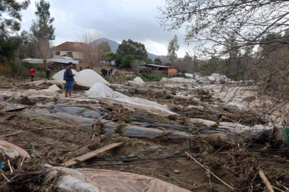 Tüm birikimlerini 1 saatte kaybettiler