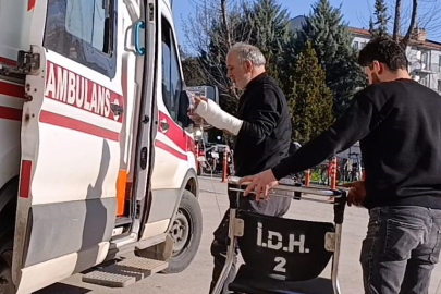 Bursa'da ağaç budarken bileğini kesti