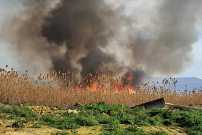 İznik'te sazlık yangını: Rüzgarla birlikte büyüyor