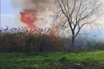 İznik'te sazlık yangını: Rüzgarla birlikte büyüyor