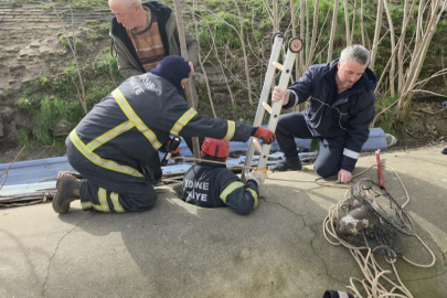 Su deposuna düşen yavru köpek 6 saat sonra kurtarıldı