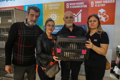 Büyükşehir'den can dostlara sıcak yuva