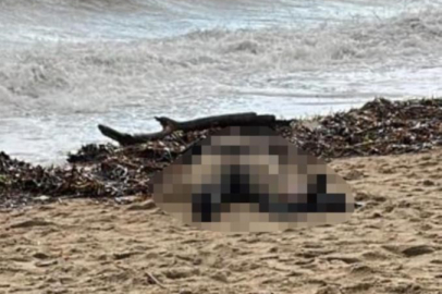 Kıyıya vuran kadın cesedi olayında sis perdesi aralanıyor