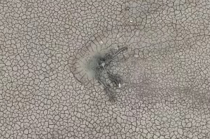 Gölbaşı Göleti'nde sevindirici gelişme