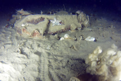 51 yıl önce düşen THY uçağına ait yeni izler bulundu