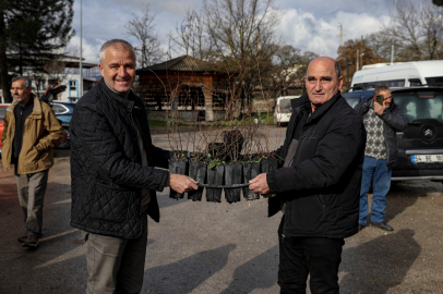 Büyükşehir’le kırsal büyüyor, çiftçi gülüyor