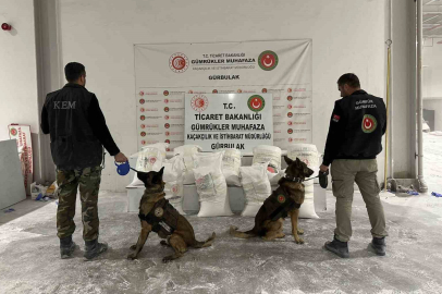 Gümrüklerde zehir tacirlerine geçit yok