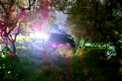 Mudanya’da kazadan kaçan sürücü zeytinliğe daldı