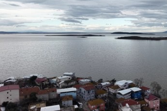 İstilacı İsrail sazanları Bursa'da gelir kaynağı oldu