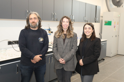 BTÜ şehirlerdeki karbondioksit gazını azaltacak