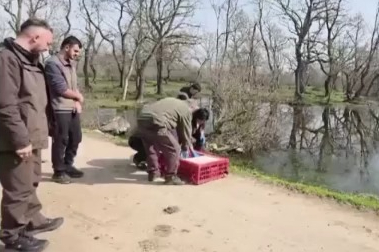 Karacabey Longozları'nda yaban hayatına özgürlük