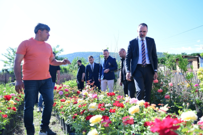 Süs bitkileri üretimi Kestel'den dünya pazarına açılıyor