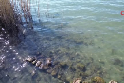 İznik Gölü'nde sular çekildi...Bir tarihi eser günyüzüne çıktı