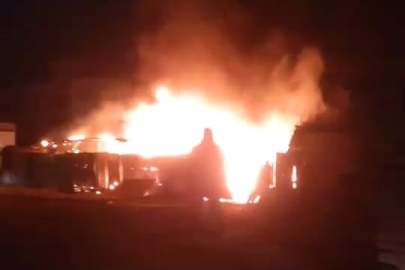 Bursa'da 200 küçükbaş yanmaktan son anda kurtarıldı