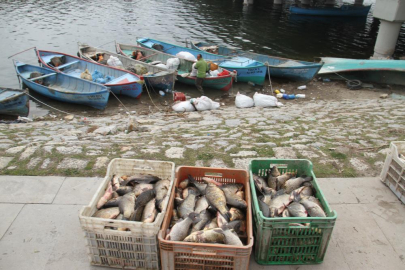 Beyşehir Gölü'nde av yasağı başlıyor
