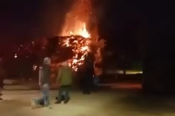Bursa'da ateşe verilen ağaç itfaiyeyi harekete geçirdi