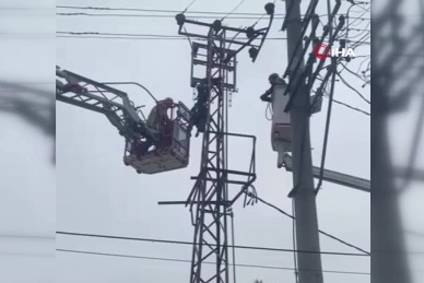 Bursa'da hırsızlık yaparken canından oldu