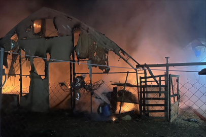 Bursa'da çiftlikte yangın: 580 kanatlı hayvan telef oldu