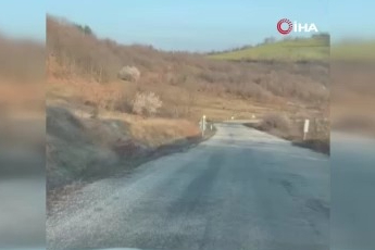 Bursa'da geyik sürüsü kameraya takıldı