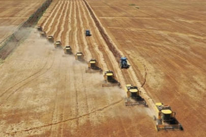 Tarım-GFE verileri açıklandı