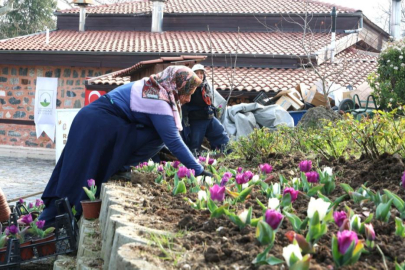 Osmangazi’de 470 bin çiçek toprakla buluşacak