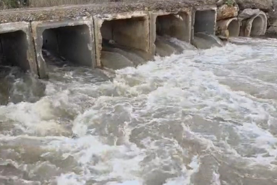 Kuruyan dere coştu, İznik Gölü’ne umut oldu