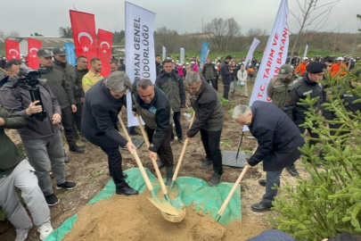 Bursa'da 2 yıl önce yanan 80 hektarlık alan ağaçlandırıldı