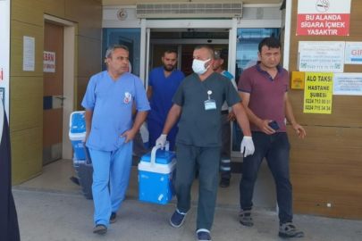 Bursa'da organlarıyla 4 kişiye umut oldu
