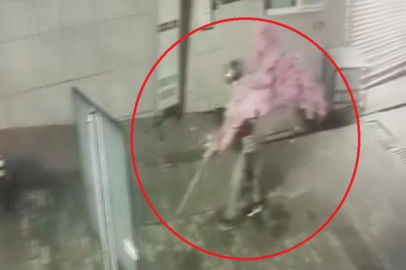 Bursa'da kafeden ağaç hırsızlığı şaşkınlık yarattı