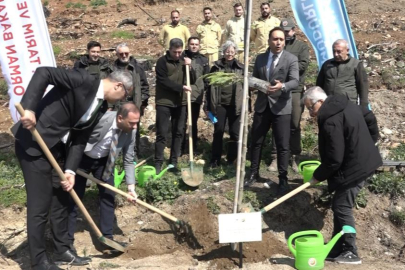 Bursa'da yanan ormanlar 8 ayda ilmek ilmek işlendi