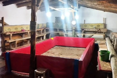 Horoz dövüşü yapan 23 kişiye ceza