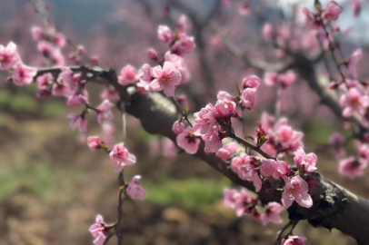 Bursa'da siyah ve pembe görsel şölen oluşturdu