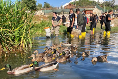 Bursa Kız Lisesi’nden TÜBİTAK 4004’te büyük başarı