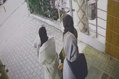 Ev fareleri kameraya yakalandı