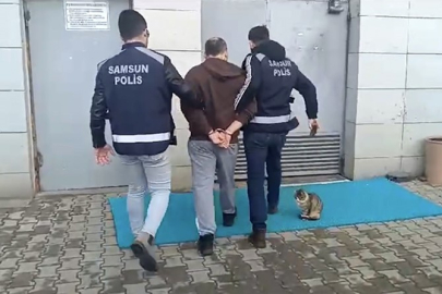 Milyonluk araç vurgunu yapan çete çökertildi