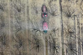 Bursa'da şeftali ve armut bahçeleri sular altında kaldı