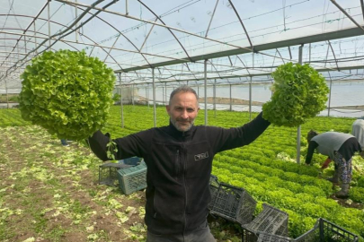 Geçen yıl ağlatan 'kıvırcık' bu yıl güldürdü