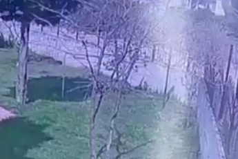 Kamyonet dereye uçtu, sürücüye dakikalarca kalp masajı yapıldı