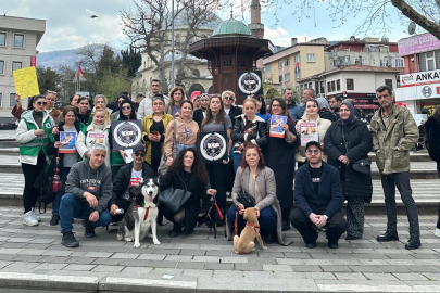 Hayvanseverler Formara’da buluştu