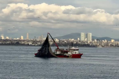 Av mevsiminin son günlerinde istavrit bolluğu