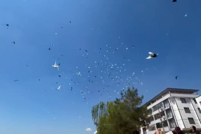 Bursa semalarında görsel şölen