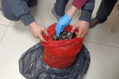 Bursa ve Balıkesir’de eş zamanlı operasyon