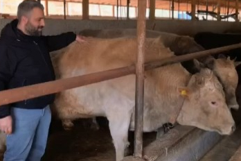 Bursa'da tonluk 'Paşa' alıcısını bekliyor